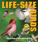 Image for Life-Size Birds : The Big Book of North American Birds