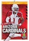 Image for The story of the Arizona Cardinals