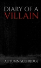Image for Diary of a villain