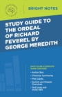 Image for Study Guide to The Ordeal of Richard Feverel by George Meredith.