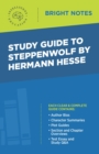 Image for Study Guide to Steppenwolf by Hermann Hesse