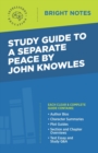Image for Study Guide to A Separate Peace by John Knowles