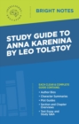 Image for Study Guide to Anna Karenina by Leo Tolstoy.
