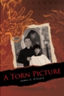 Image for Torn Picture