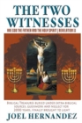 Image for The Two Witnesses are God the Father and The Holy Spirit - Revelation 11 : Biblical Treasures Buried Under Extra-Biblical Sources, Guesswork and Neglect For 2,000 Years Finally Brought to Light