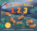 Image for Blue Ridge babies 1, 2, 3  : a counting book