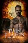 Image for Twin Flames : A Fated Mate Paranormal Romance
