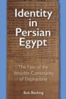 Image for Identity in Persian Egypt  : the fate of the Yehudite community of Elephantine