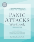 Image for Panic attacks workbook  : a guided program for beating the panic trick