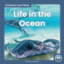 Image for Animals Live Here: Life in the Ocean