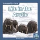 Image for Animals Live Here: Life in the Arctic