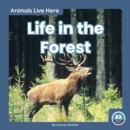 Image for Animals Live Here: Life in the Forest