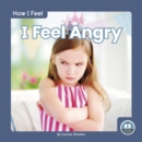 Image for How I Feel: I Feel Angry