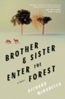 Image for Brother &amp; Sister Enter the Forest