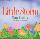 Image for Little Storm
