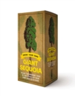 Image for The Grow Your Own Giant Sequoia Kit