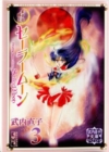 Image for Sailor Moon 3 (Naoko Takeuchi Collection)