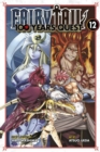 Image for FAIRY TAIL: 100 Years Quest 12
