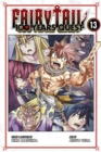 Image for FAIRY TAIL: 100 Years Quest 13
