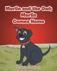 Image for Merlin and the Owl