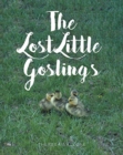 Image for The Lost Little Goslings