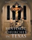 Image for Historic Churches in Texas: Through the Lens Series, Volume II