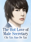 Image for Hot Love of Male Secretary