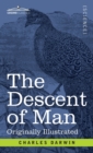Image for The Descent of Man : and Selection in Relation to Sex