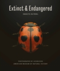 Image for Extinct &amp; Endangered: Insects in Peril