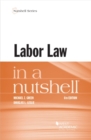 Image for Labor law in a nutshell