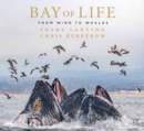 Image for Bay of Life