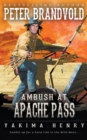 Image for Ambush at Apache Pass