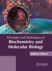 Image for Principles and Techniques of Biochemistry and Molecular Biology