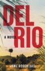Image for Del Rio  : a novel