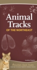 Image for Animal Tracks of the Northeast