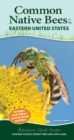 Image for Common Backyard Bees of the Eastern United States : Your Way to Easily Identify Bees and Look-Alikes