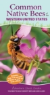 Image for Common Native Bees of the Western United States