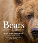 Image for Bears of North America : Black Bears, Brown Bears, and Polar Bears