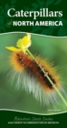 Image for Caterpillars of North America