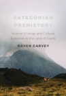 Image for Patagonian Prehistory