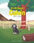 Image for It&#39;s All About Calvin