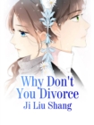 Image for Why Don&#39;t You Divorce