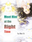 Image for Meet Him at the Right Time