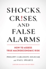 Image for Shocks, Crises, and False Alarms