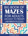 Image for Big Book of Mazes for Adults : 185 Easy to Medium Labyrinth Puzzles