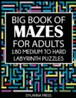 Image for Big Book of Mazes for Adults : 180 Medium to Hard Labyrinth Puzzles