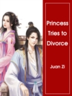 Image for Princess Tries to Divorce