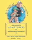 Image for The Amazing Adventures of Mr. Wimples and Sophie Ann