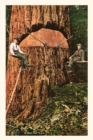 Image for Vintage Journal Giant Fir Tree
