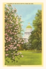 Image for The Vintage Journal State Capitol, Sacramento, California